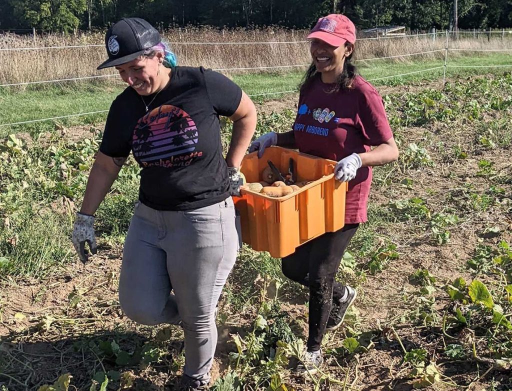 Arbor employees volunteering at Drumlin Farm