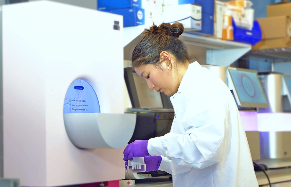 Scientist working in the lab
